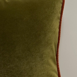May include: A green velvet pillow with a rust-colored border.