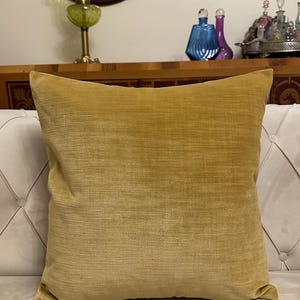 Camel Velvet Pillow Cover, Camel Cushion Case, Decorative Euro Sham, Chalr Soft Cushion, Throw Accent Pillow, Custom Made Modern Decoration