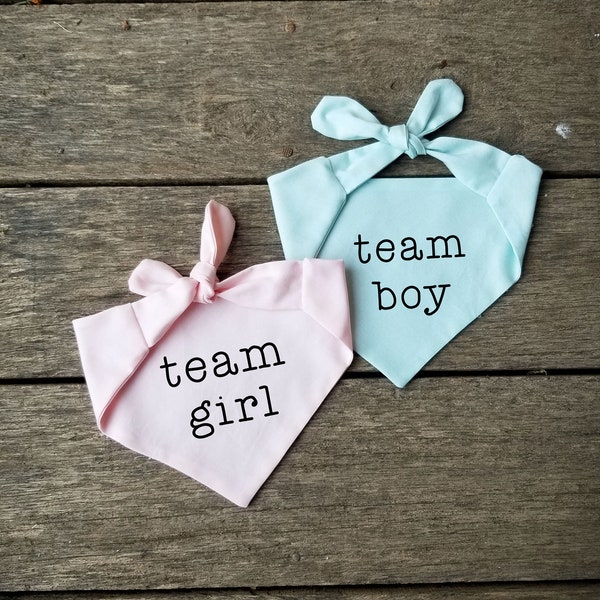 team boy - team girl - dog or cat bandanas - gender reveal party supplies - tie on pet bandana - light pink - light blue
