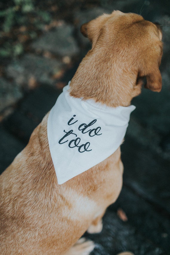 I Do Too Wedding Bandana Dog of Honor Engagement Bandana Photoshoot Puppy Bandana Tie On Ivory Etsy Canada