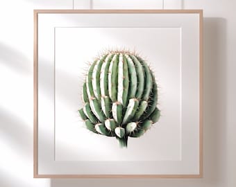 Cactus Artwork - Digital Download, Botanical, Cacti