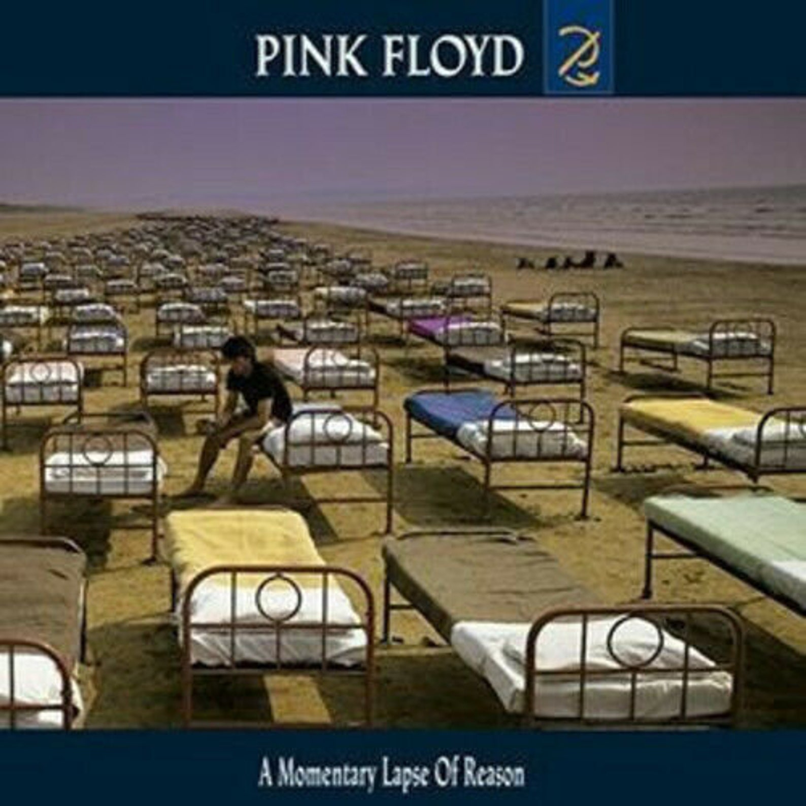 Pink Floyd A Momentary Lapse Of Reason CD Rock And Roll Etsy pink-floyd-a-momentary-lapse-of-reason-cd-rock-and-roll-etsy
