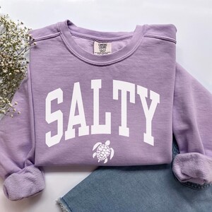 Salty Sweatshirt, Comfort Colors Salty Shirt, Beach Sweatshirt, Spring Break Girls Trip Beachy Sweatshirt, Trendy Summer Vacation Crewneck