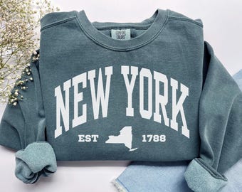 New York Sweatshirt, Comfort Colors New York State Shirt New York Vacation Trip Souvenir Gift NYS Sweater, Downtown NY Manhattan Crewneck