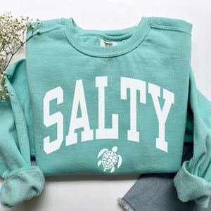 Salty Sweatshirt, Comfort Colors Salty Shirt, Beach Sweatshirt, Spring Break Girls Trip Beachy Sweatshirt, Trendy Summer Vacation Crewneck