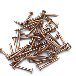 May include: A pile of copper-colored nails with large, flat heads. The nails are arranged in a random pattern on a white background.