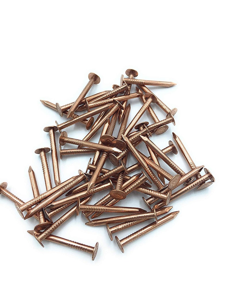 May include: A pile of copper-colored nails with large, flat heads. The nails are arranged in a random pattern on a white background.