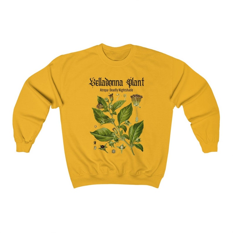 Estetyczna bluza Oversize'owa bluza Modna bluza Art Hoe Grunge Odzież Estetyczna magia Nadruk Nightshade Mori Girl Miękka ciemna zdjęcie 6