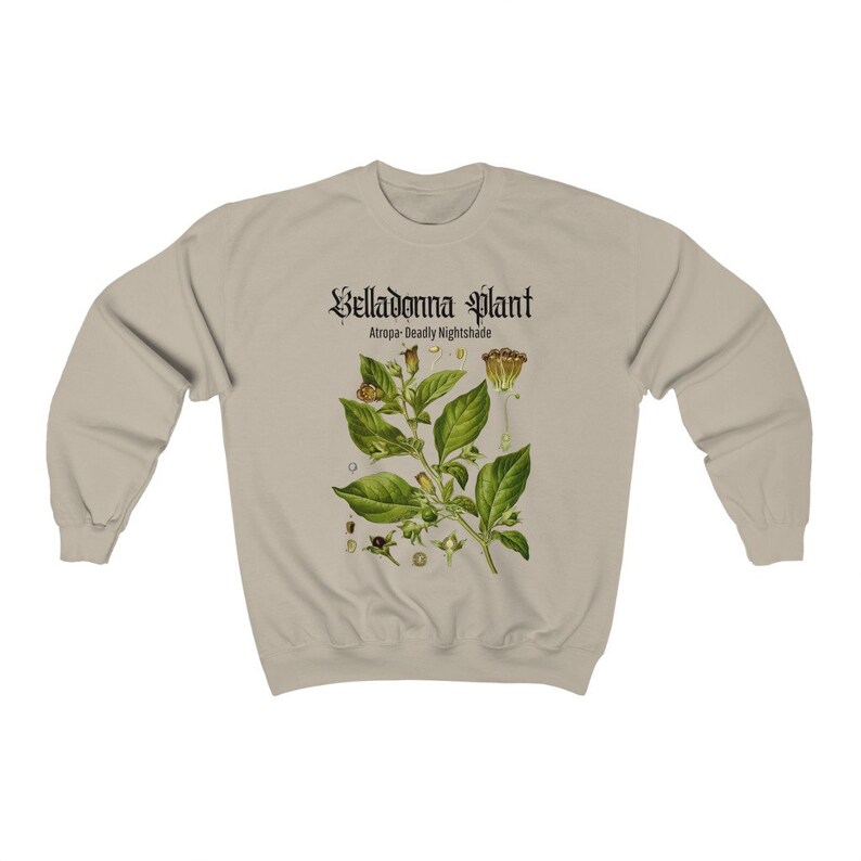 Estetyczna bluza Oversize'owa bluza Modna bluza Art Hoe Grunge Odzież Estetyczna magia Nadruk Nightshade Mori Girl Miękka ciemna zdjęcie 3
