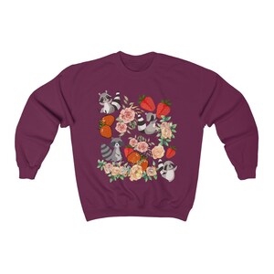 Pu&ograve; includere: Una felpa color granata con un motivo di procioni, fragole e fiori. I procioni sono grigi con maschere e code nere. Le fragole sono rosse con foglie verdi. I fiori sono rosa e bianchi.