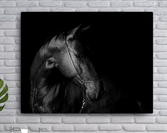 Impression sur toile cheval noir et blanc