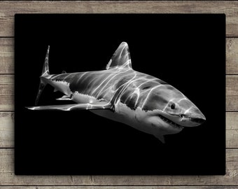 Black & White Great White Shark Canvas Print