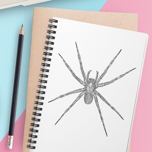 Spider Sketch Spiral Notebook - Ruled Line
