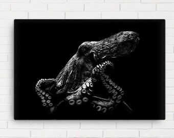 Schwarz-weißer Oktopus Leinwanddruck