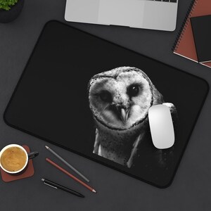 Black & White Photo of Curious Owl Desk Mat