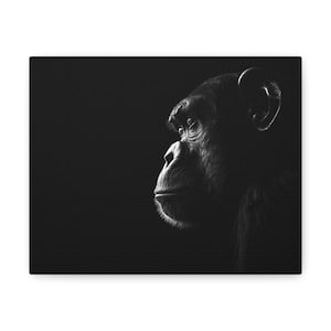 Può includere: Una fotografia in bianco e nero del viso di uno scimpanzé, che guarda a destra, su uno sfondo scuro.