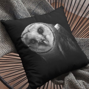 Owl Throw Pillow