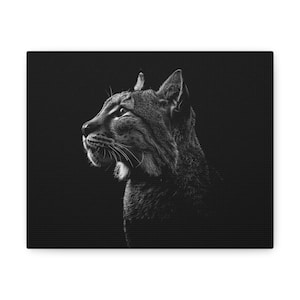 Lynx Canvas Wall Art