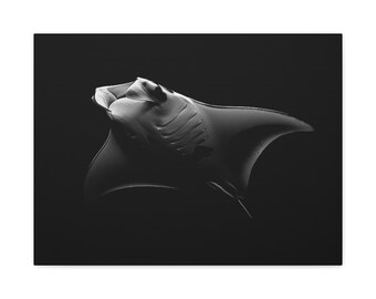 Manta Rochen Leinwand Wandkunst