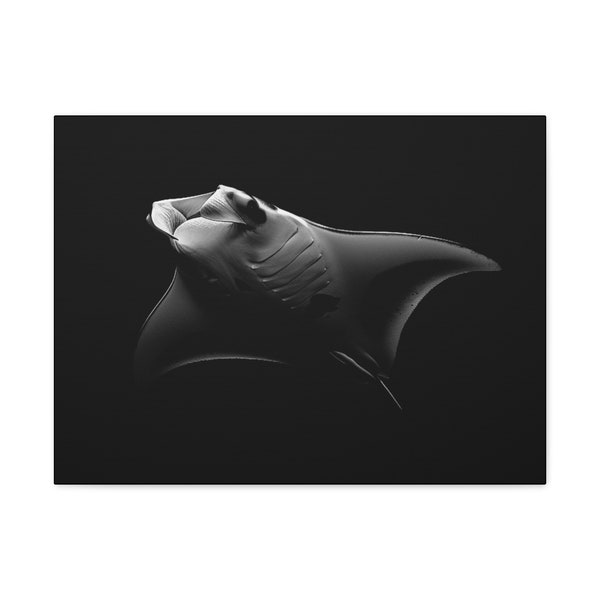 Manta Ray Canvas Wall Art