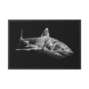 Great White Shark Framed Poster