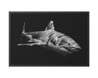 Great White Shark Framed Poster