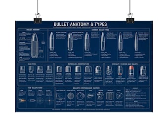 Poster: Anatomie und Typen von Patronen | Mattes Querformat-Poster