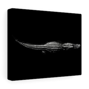 Black & White Crocodile Gallery Wraps