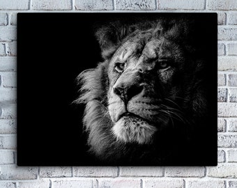 Black & White Photo of Majestic Lion On Canvas Print