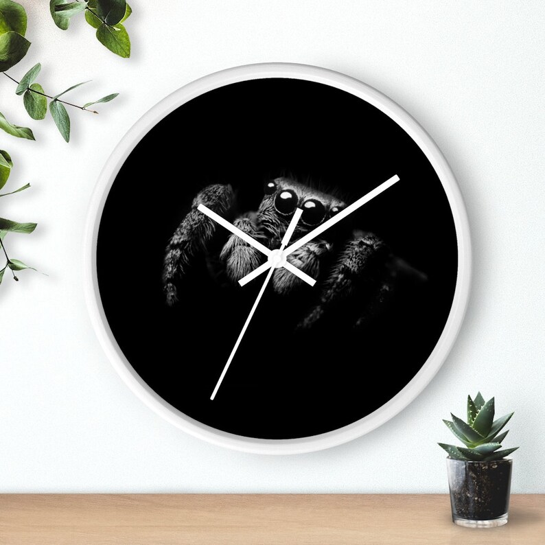 Jumping Spider Wall clock