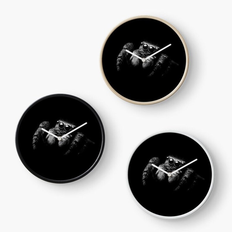 Jumping Spider Wall clock