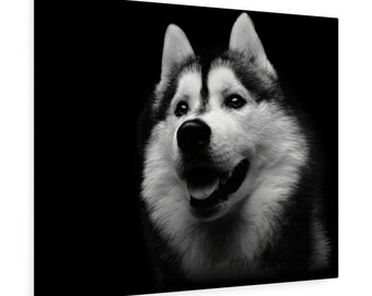Black & White Portrait of Husky on Canvas Print