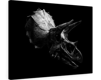 Black & White Photo of Triceratops Skull On Canvas Print