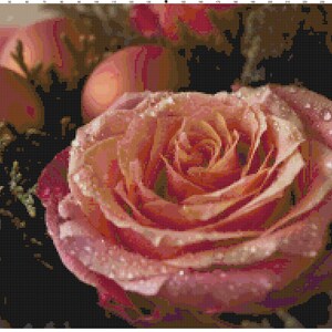 Christmas Rose Cross Stitch Pattern