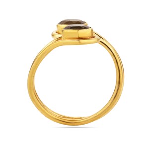 Pu&ograve; includere: Un anello dorato con due pietre preziose scure di forma ovale. La fascia dell'anello si curva con grazia, con le pietre preziose poste una accanto all'altra nella parte superiore. Il design &egrave; semplice ma elegante, con un'estetica minimalista.