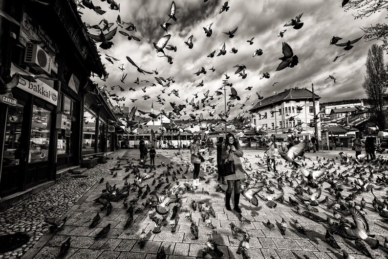 Feeling Freedom