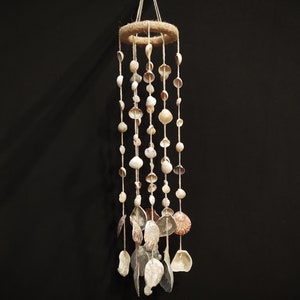 May include: A white seashell wind chime with a natural rope hanger and a wooden ring at the top. The chime features various sizes and shapes of seashells hanging from the rope.