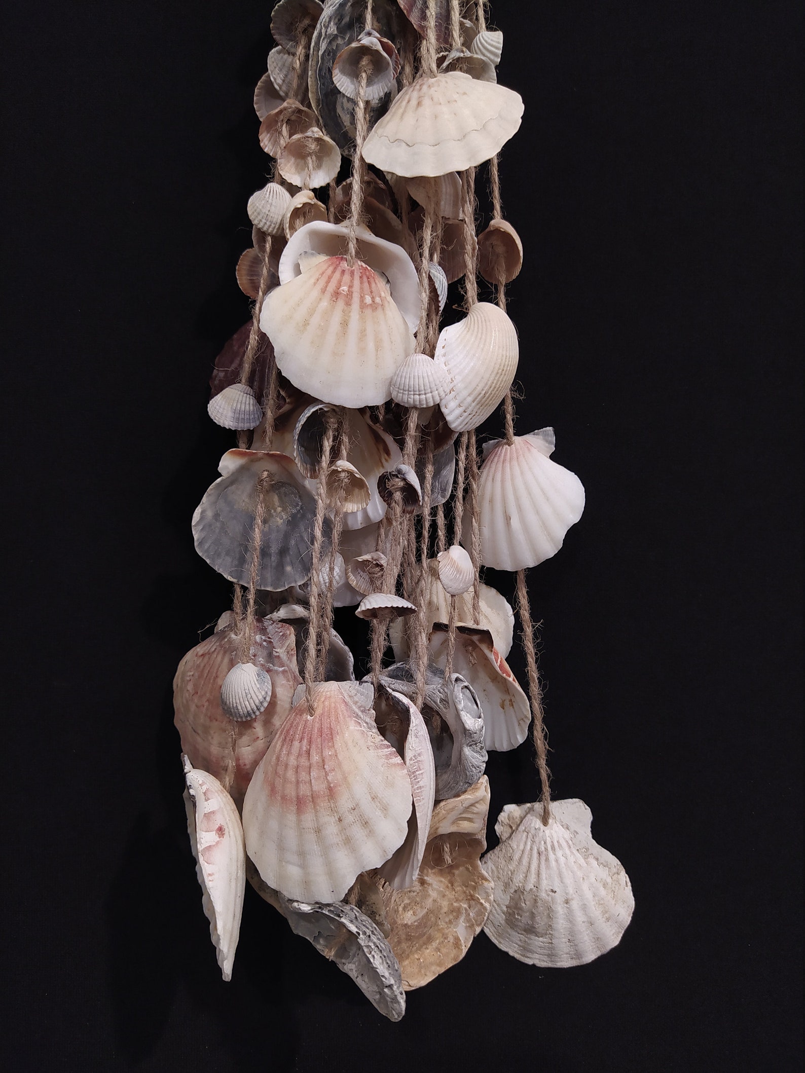 Seashells Hanging Beach Decor Sea Shell Art Ocean Vibes Etsy