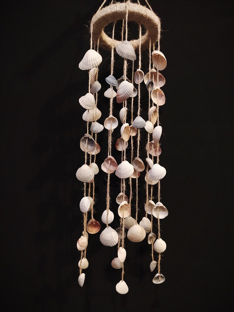 Seashells Wall Hanging Beach Decor Farmhouse Decor Beach Etsy