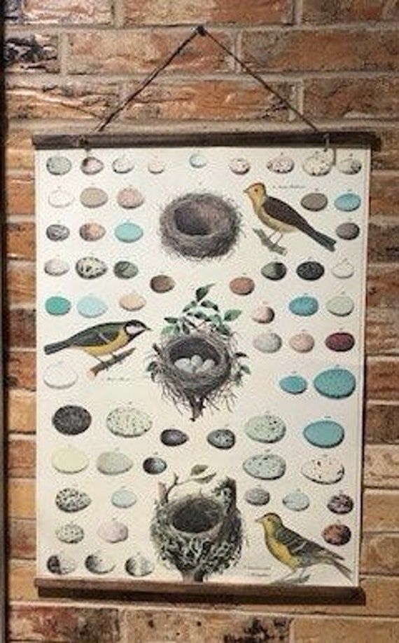 Handmade Birds, Nests & Eggs Wall Hanging