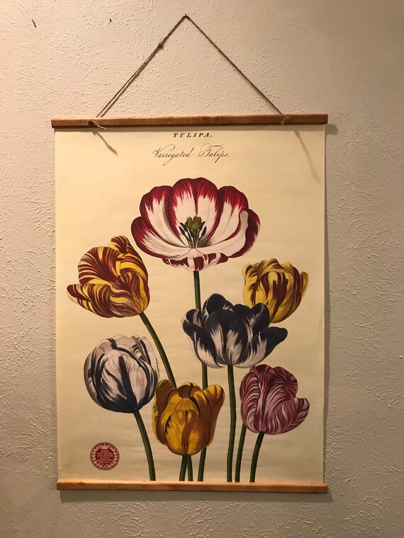 French Tulip Vintage-Inspired Wall Art
