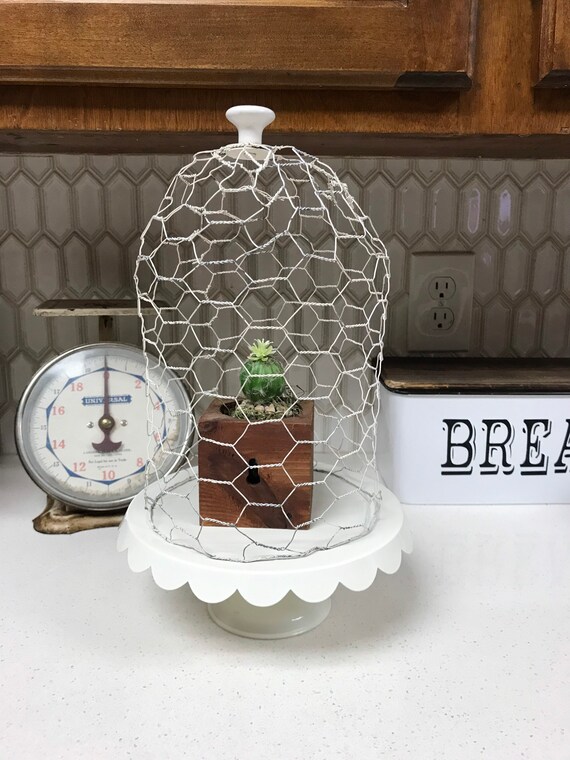 Chicken Wire Cloche and Mini Cake Stand