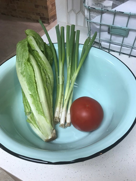Enamelware Bowl