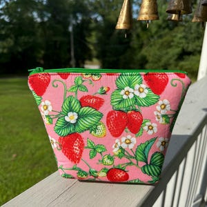 Strawberry makeup bag, strawberries travel pouch, coquette pouch, strawberry project bag