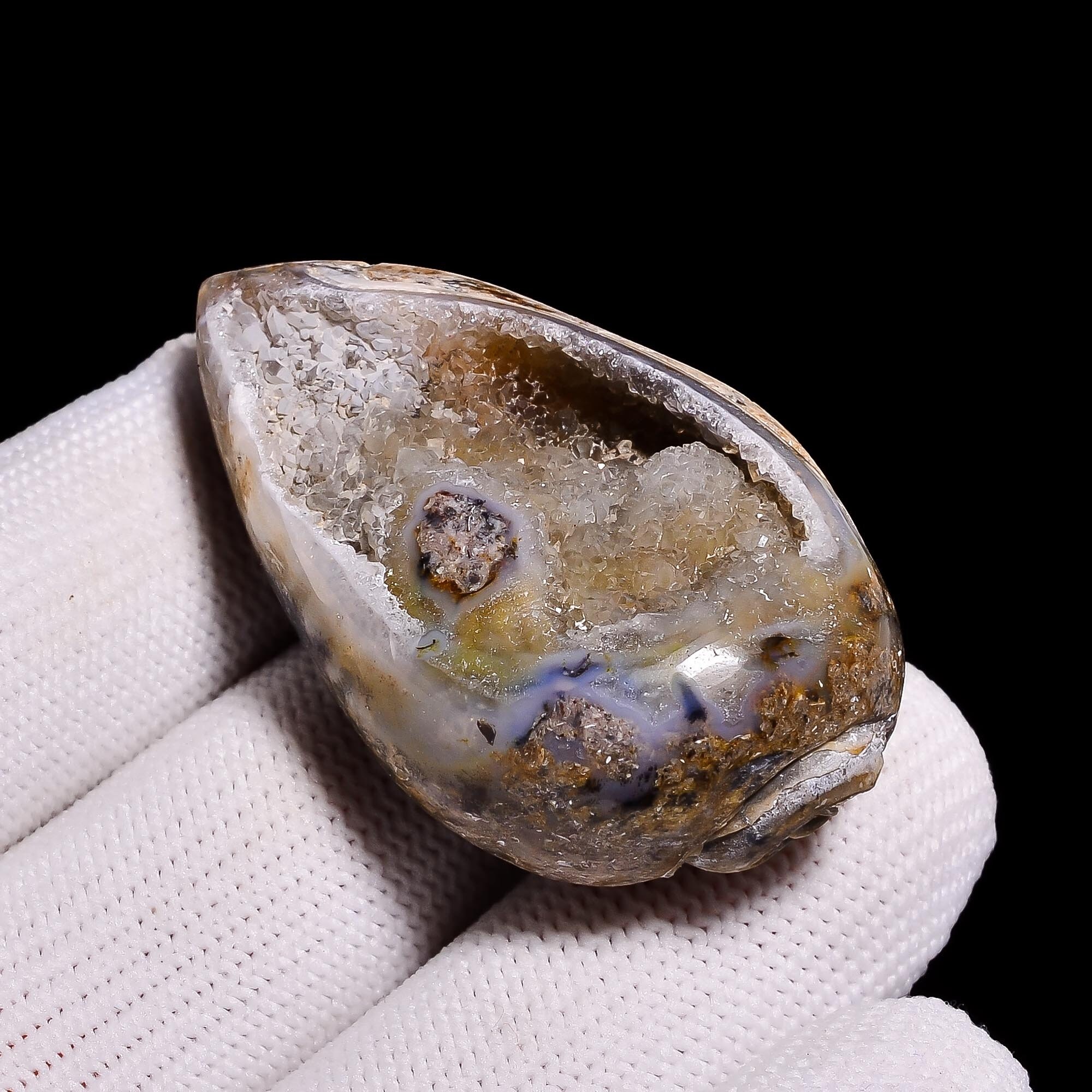 Gastropod Snail Shell Fossil Agate Druzy Gemstone Fancy Etsy