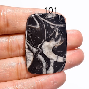 Natural Coleus Fossil Gemstone Cabochon, Designer Jewelry Making Supply