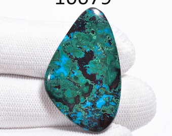 Papagei-Flügel Chrysokoll Edelstein, Mix-Form-Designer-Papagei-Flügel Chrysokoll Cabochon, lose Edelstein-Schmuckherstellung Lieferung.