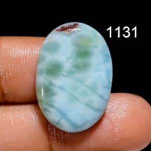 May include: Oval-shaped gemstone, primarily light blue with green and brown inclusions. The stone has a polished, glossy surface. The number "1131" is printed in white on the upper right side of the stone. The gemstone is held between two fingers.