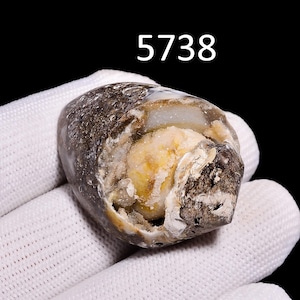 Gastropod (Snail) Shell Fossil Agate Druzy Gemstone, Fancy Shape Prehistoric Agatized Shell For Pendant Necklace Jewelry Making Supply
