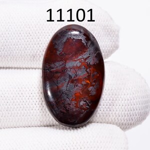 May include: Oval gemstone with a polished surface. The stone displays a mix of deep red, brown, and grey hues, with intricate patterns and veining. The number "11101" is printed in black at the top.